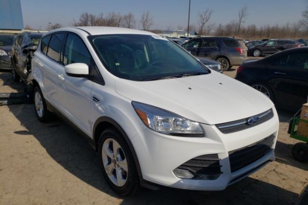 фото Ford Escape SE