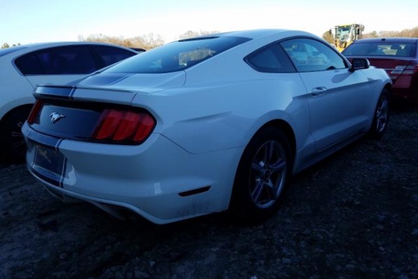 фото Ford Mustang