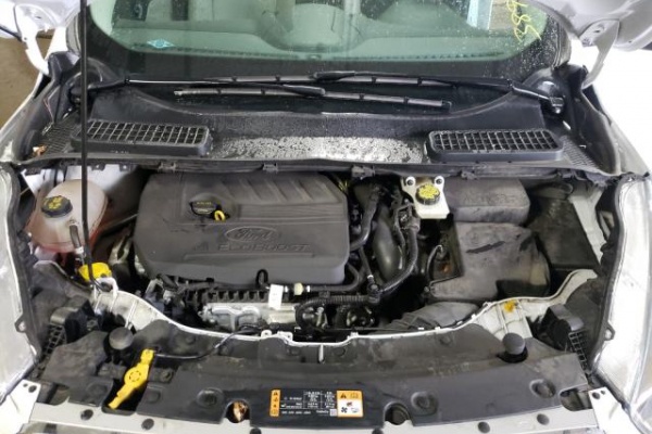 фото Ford Escape SE