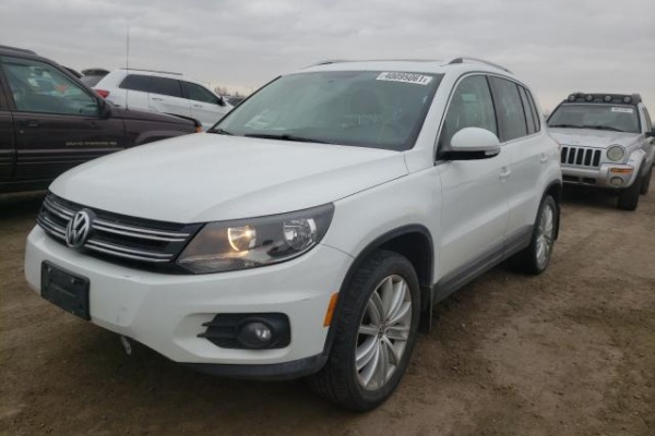 фото Volkswagen TIGUAN