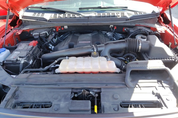 фото Ford F150 Raptor