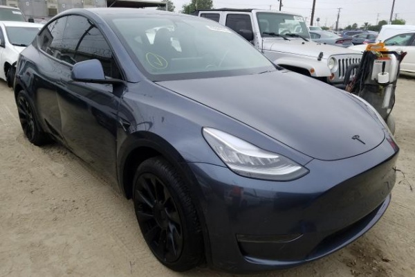 фото Tesla MODEL Y