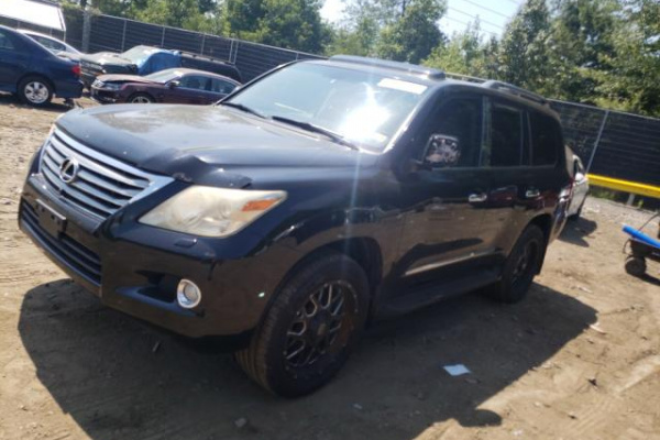 фото LEXUS LX 570